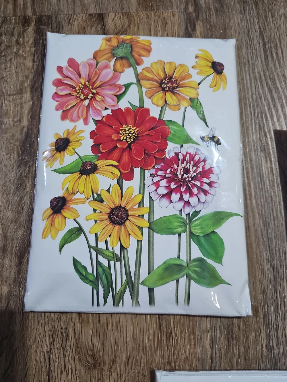 Mary Lake-Thompson Flour Sack Kitchen Towels Set of 3 Garden Bee Bicycle 30x30